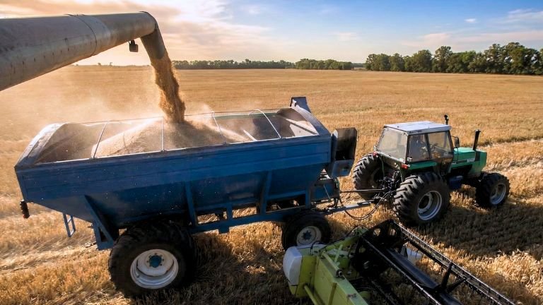 Rindes altos y ritmo acelerado: la cosecha de trigo entra en etapa clave