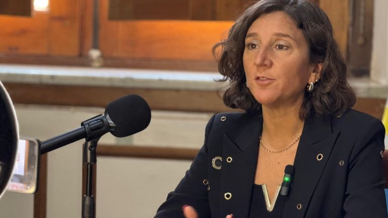 Rutas nacionales en Santa Fe: la senadora Di Gregorio cuestiona el destino de los impuestos viales ante el deterioro de la infraestructura